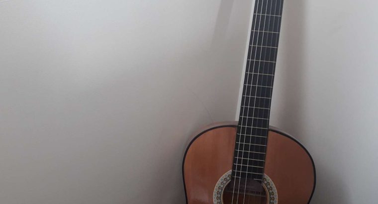 Classical guitar model c80
