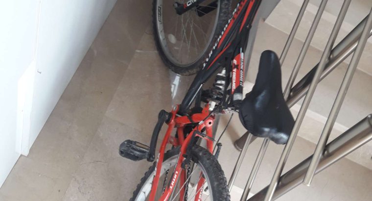 Mountain bicycle